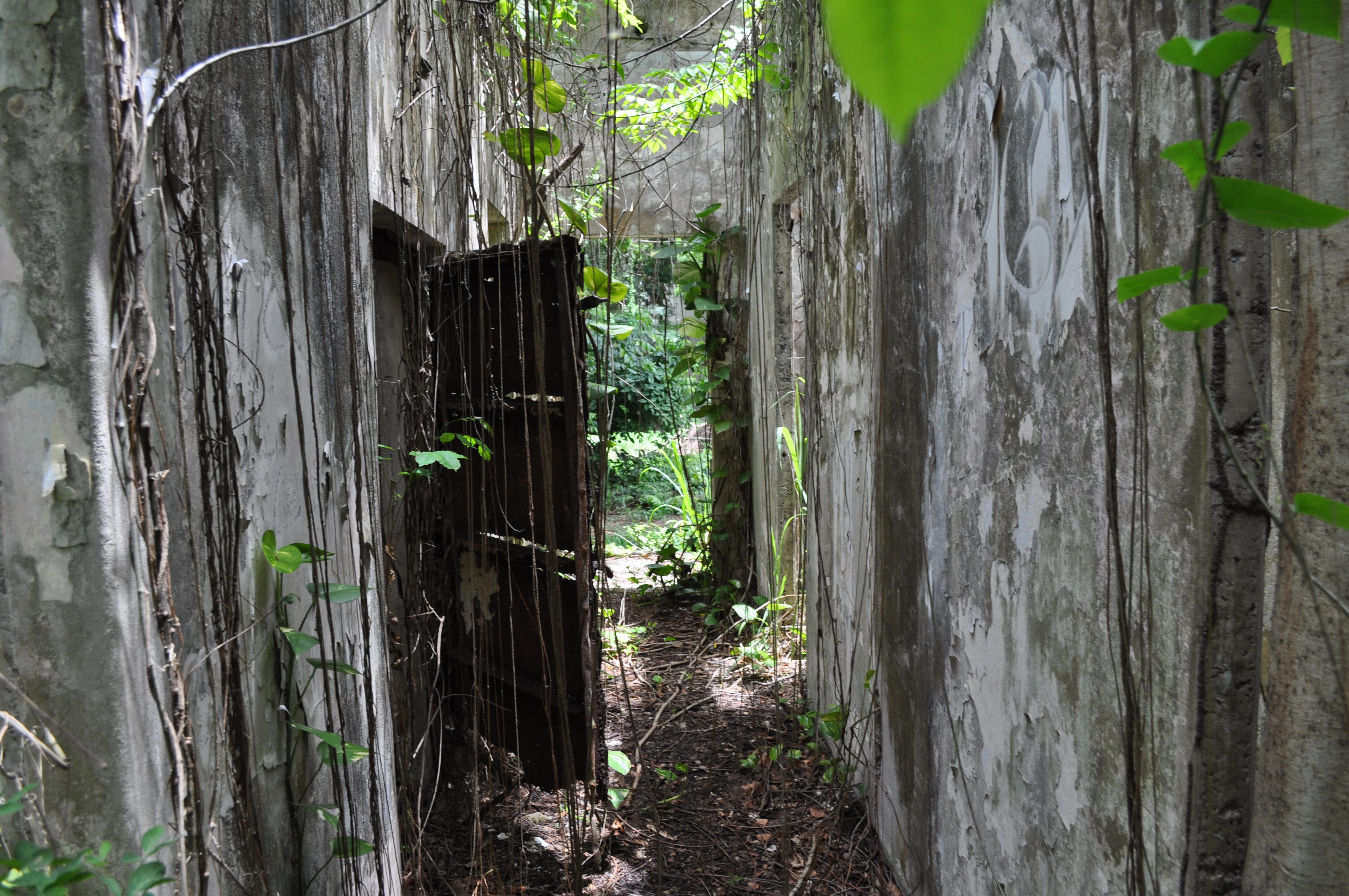 Antigua Lechería y Residencia de la Facultad de la Universidad de Puerto Rico - San Juan (Río Piedras) - 2014 00029